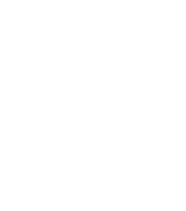 RockPocket